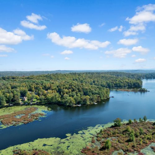 Lake Henry - perfect cove for fishing.