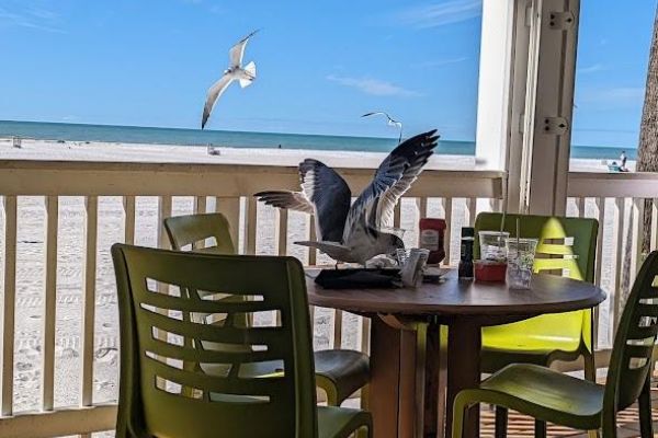 Palm Pavilion Beachside Grill & Bar