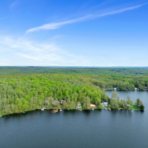 Drone shots of the lake.