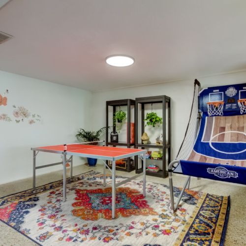 ping pong, basketball, karaoke
