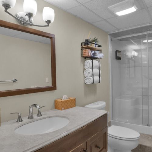 The basement bathroom features a modern walk-in shower for added comfort and convenience.
