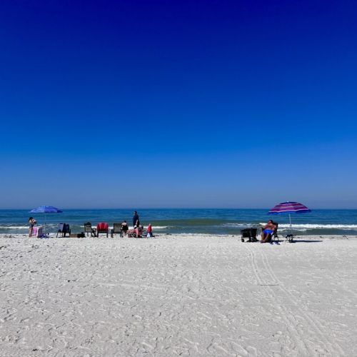 Just another day on Indian Rocks Beach