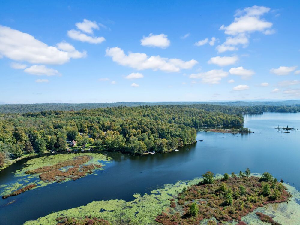 Lake Henry - perfect cove for fishing.