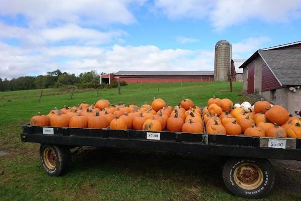 Rickard’s Cider Mill