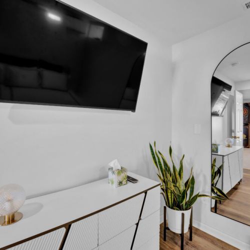 TV, Full Length Mirror, Cute Decor.