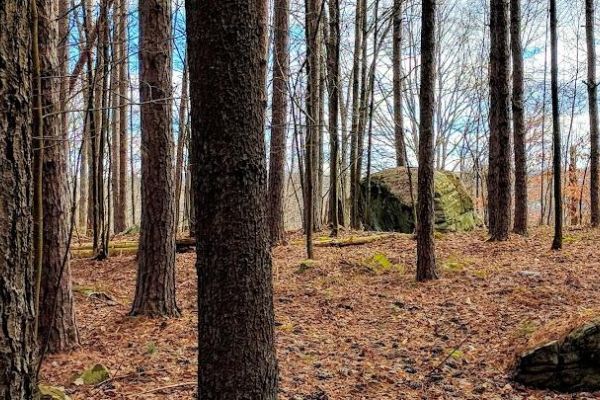 Varden Conservation Area