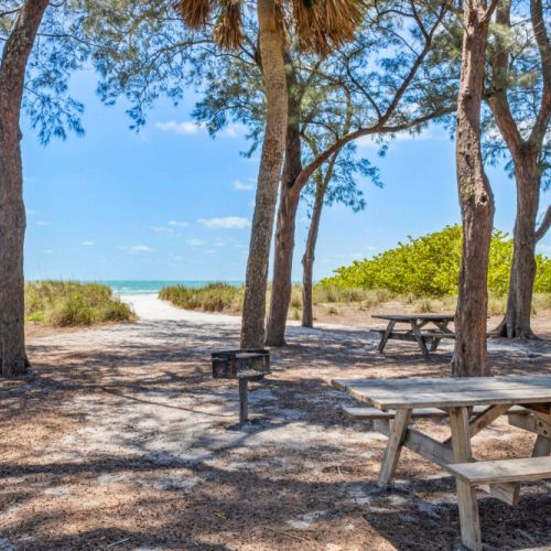 Beach parks
