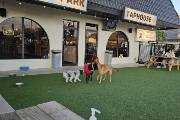 Barks and Brews