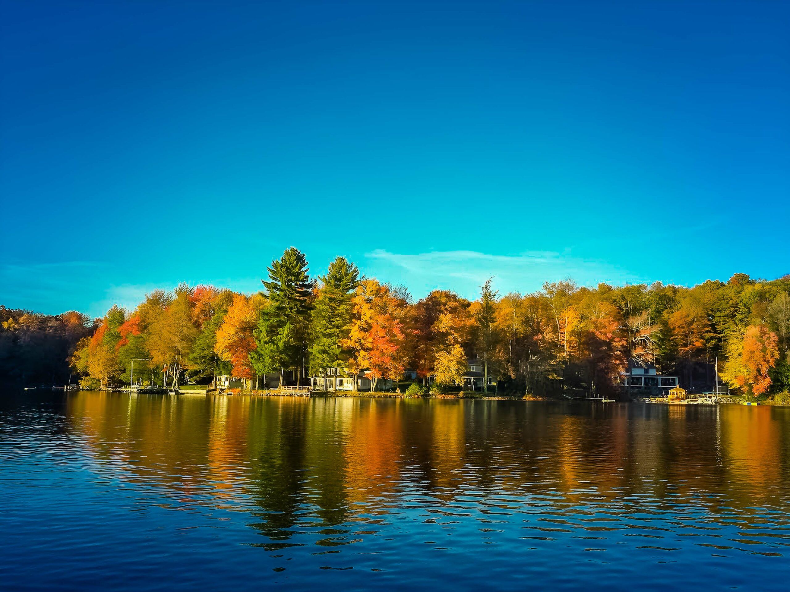 View from the dock!