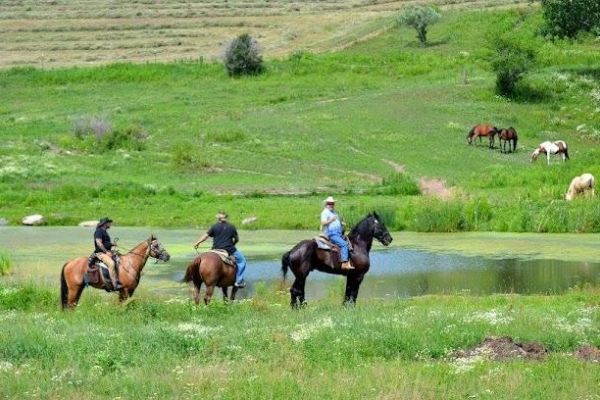 Happy Trails Stables Waymart