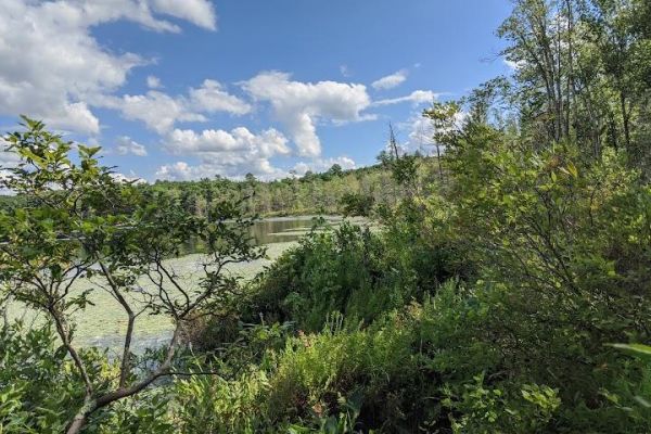 Lacawac Sanctuary Field Station and Environmental Education Center