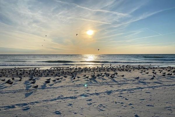 Treasure Island Beach