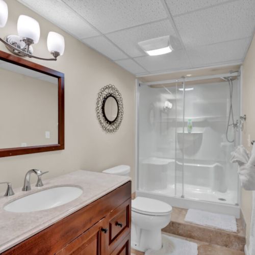 Basement Bathroom. Walk-in Shower.