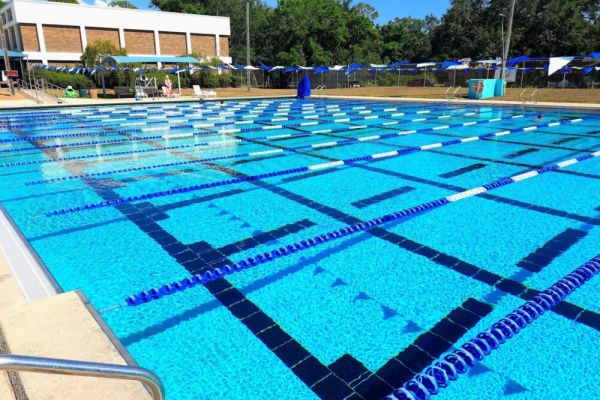 Arlington Park Sarasota