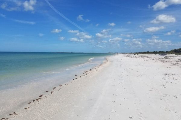Caladesi Island State Park