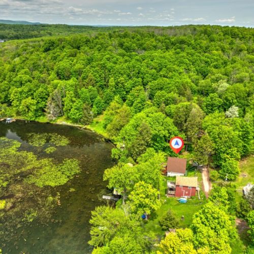 Drone Shots. Surrounded by beautiful trees.